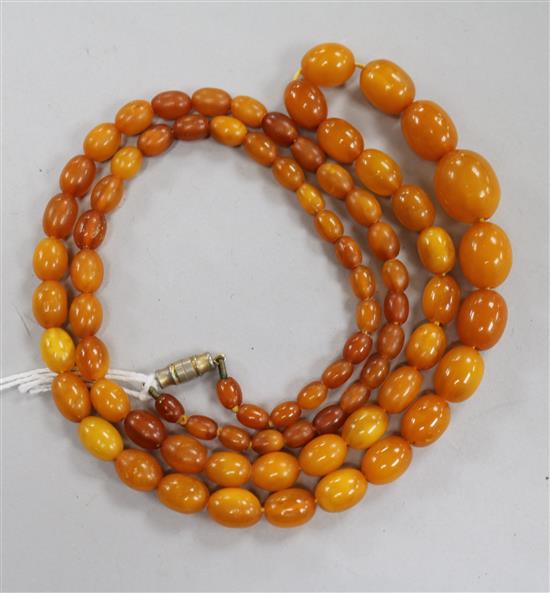 A single strand graduated oval amber bead necklace, gross weight 24 grams, 71cm.